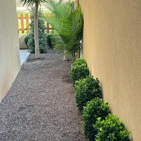 Golf Tenerife South Xx Wheel Accessible Shower Xx Free Wifi Xx Private Pool 30 Degrees Xx Two Terraces 30m2x60m2 Xxfree Parking Xx Mountain View Xx Flatscreen 65 Inch Xx